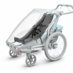 Titelseite -Fizik Verkäufe thule chariot babysitz 1 8114 1